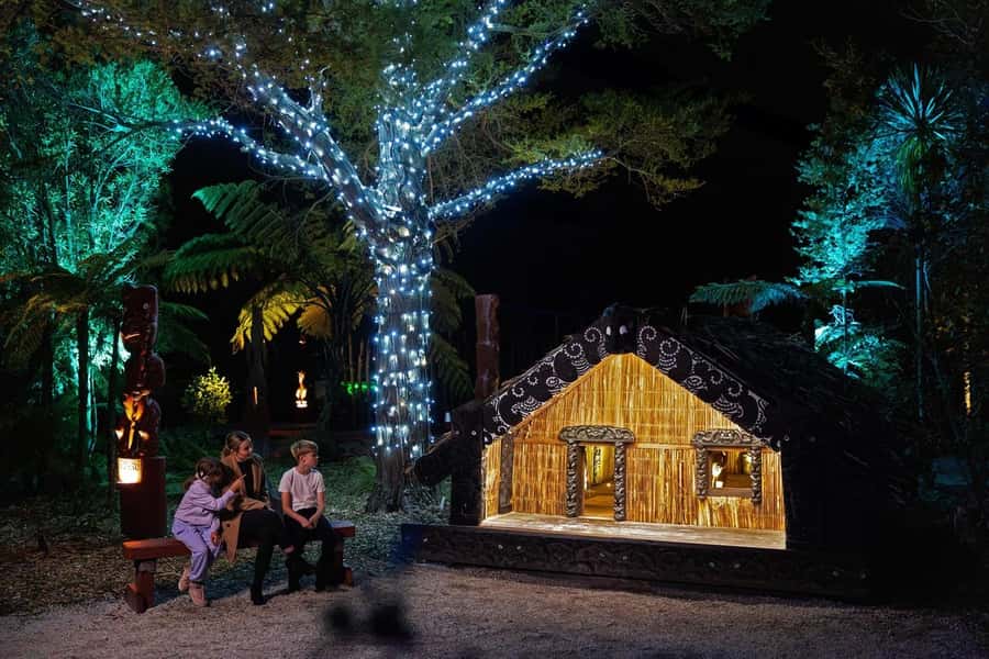 Rotorua: Marama Geyser Light Trail & Geothermal Experience - Is $29 good value?
