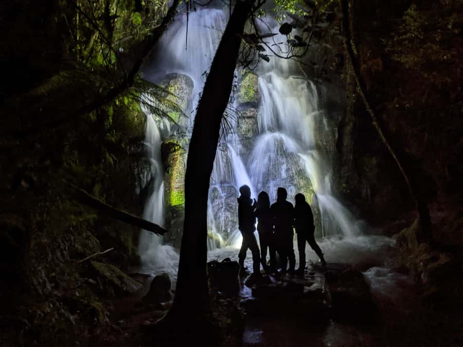 Rotorua: Nocturnal Glow-Worm Adventure Tour with a Guide - Key points before you book