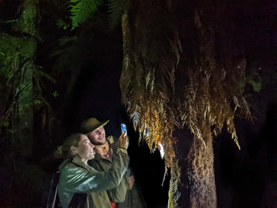 Rotorua: Nocturnal Glow-Worm Adventure Tour with a Guide - Why this Rotorua evening works so well