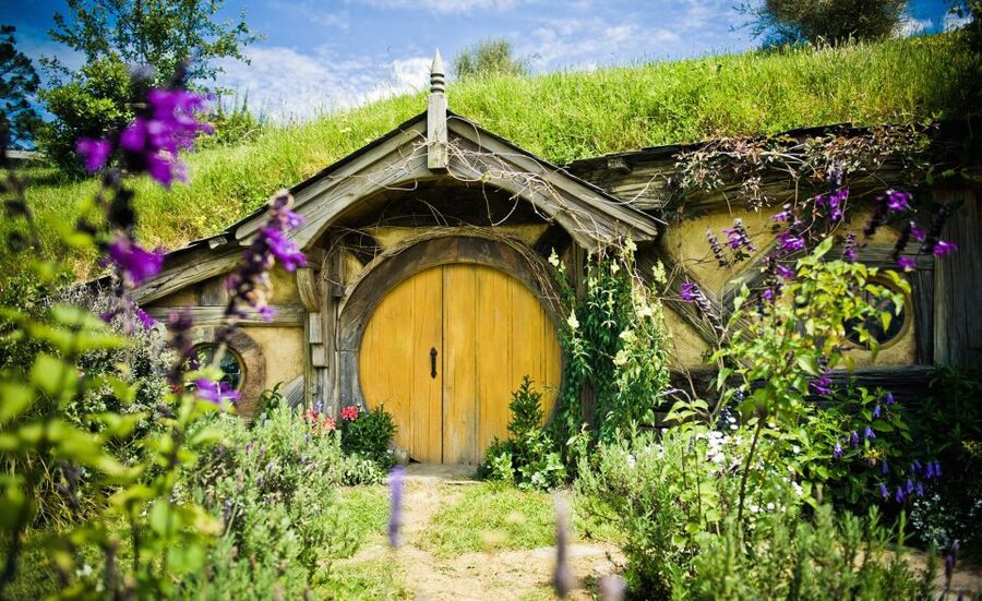 Rotorua: One-Way Trip to Auckland via Hobbiton & Waitomo - Who will get the most from this tour?