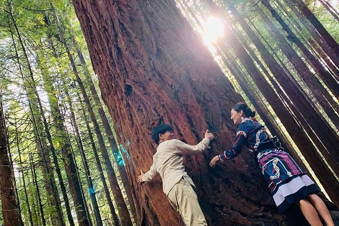 Rotorua Private tour with Hotspring - Why this Auckland to Rotorua day trip works