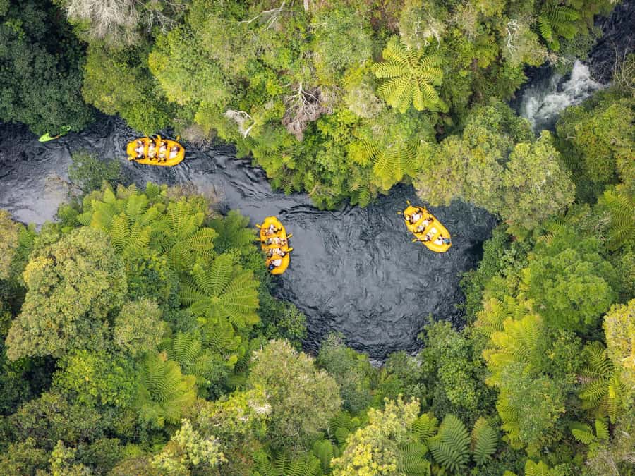 Rotorua Rafting: Kaituna River Rafting Experience-Free Sauna - The Kaituna River experience at a glance