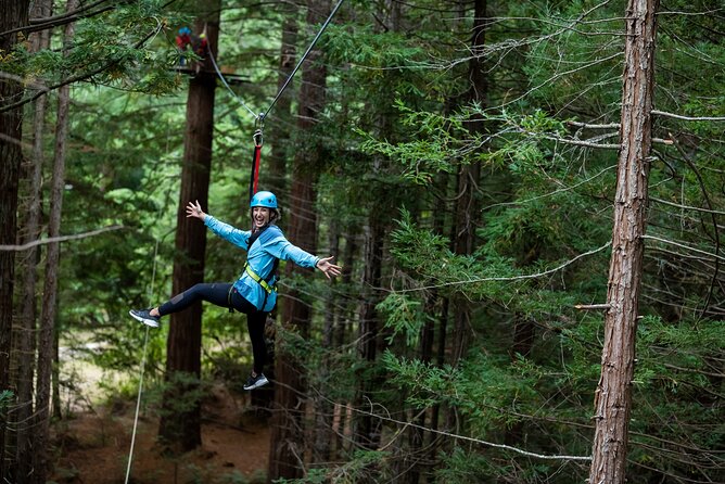Rotorua: Redwoods Adventure 3-Hours - Key points to know before you book