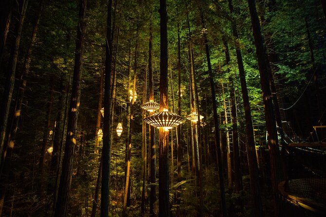 Rotorua: Redwoods Adventure 3-Hours - What the $123.49 price buys you