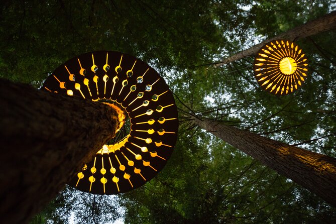 Rotorua: Redwoods Adventure 3-Hours - Altitude: two hours of guided treetop adventure