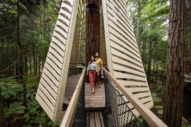 Rotorua: Redwoods Adventure 3-Hours - The daytime Treewalk, a calmer change of pace