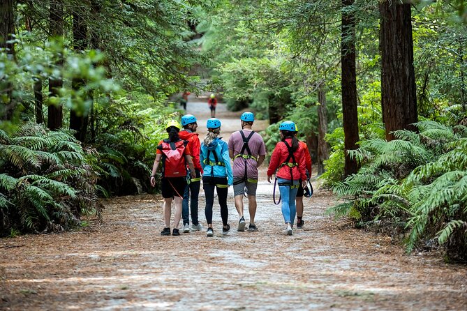 Rotorua: Redwoods Altitude High Ropes Adventure - Key points to know before you book