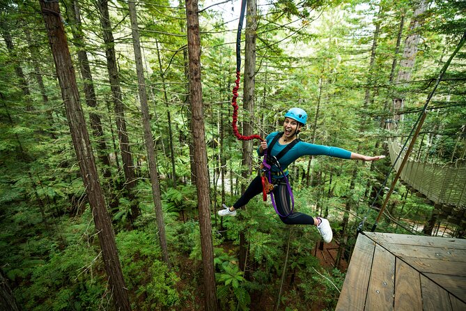 Rotorua: Redwoods Altitude High Ropes Adventure - Starting 25 metres up in Rotorua’s Redwood Forest