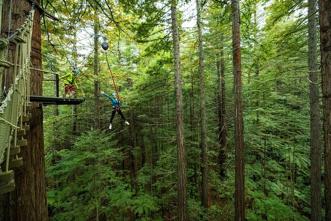 Rotorua: Redwoods Altitude High Ropes Adventure - Three ziplines add speed to the course