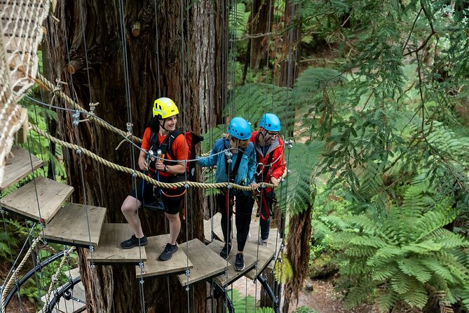 Rotorua: Redwoods Altitude High Ropes Adventure - Forest stories add meaning to the physical challenge