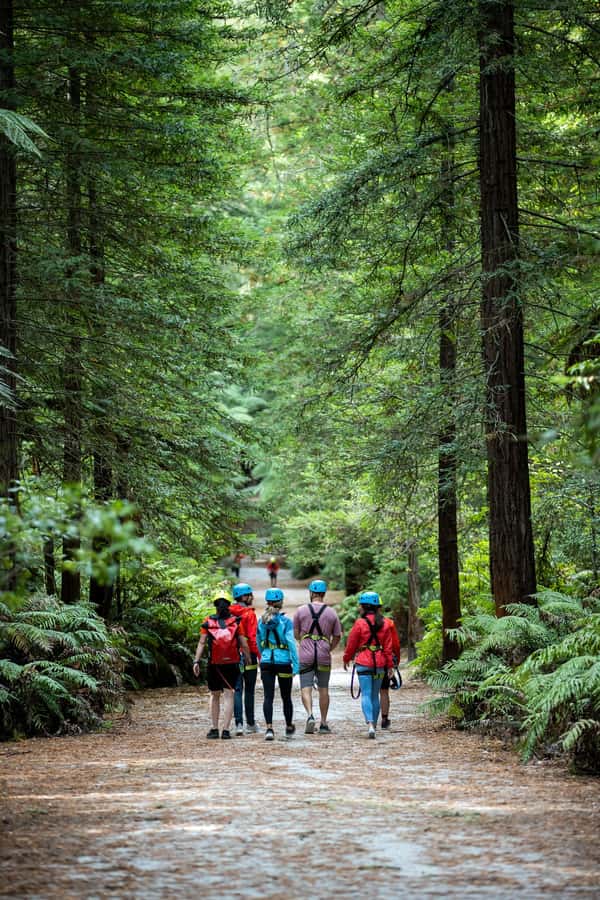 Rotorua: Redwoods Altitude High Ropes Adventure - My practical verdict