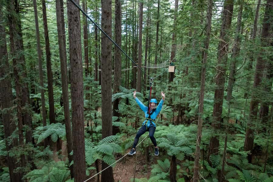 Rotorua: Redwoods Altitude, Nighttime Fast Pass, & Treewalk - The honest safety picture