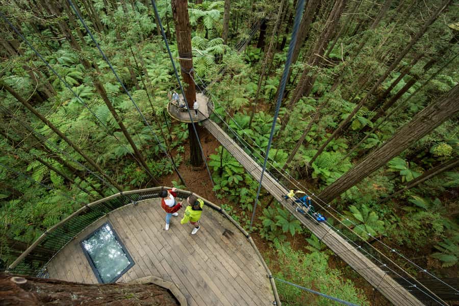 Rotorua: Redwoods Altitude, Nighttime Fast Pass, & Treewalk - Starting at the Redwoods Altitude hanger