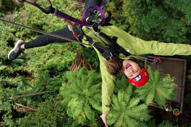 Rotorua’s Ultimate Zipline: 6 ziplines, 400 m Tandem, Cliff Walk - The essential details at a glance