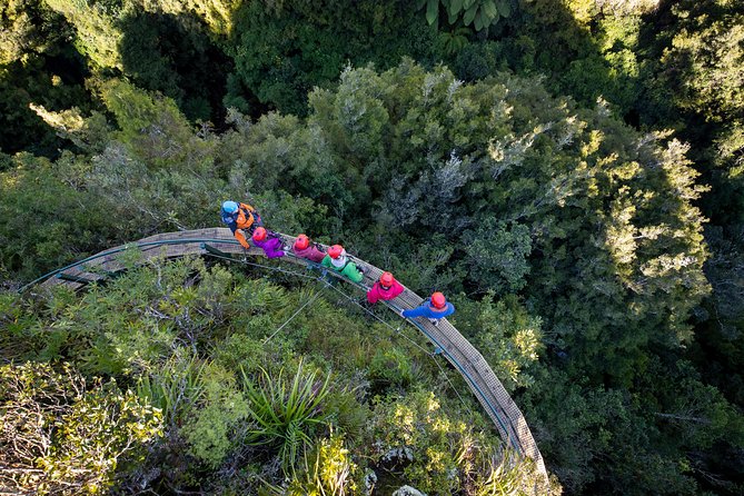 Rotorua’s Ultimate Zipline: 6 ziplines, 400 m Tandem, Cliff Walk - Floating stairs, spiral steps, and the controlled descent
