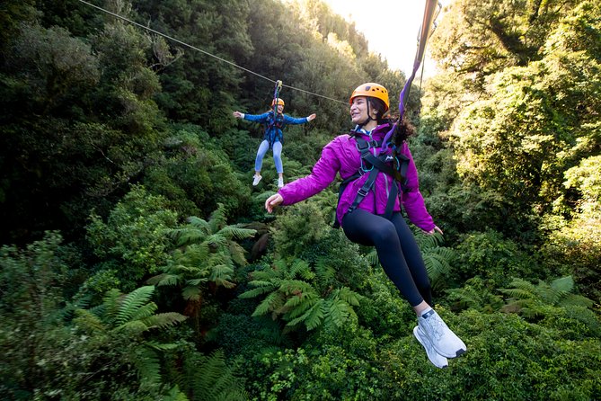 Rotorua’s Ultimate Zipline: 6 ziplines, 400 m Tandem, Cliff Walk - Is $166.93 good value?