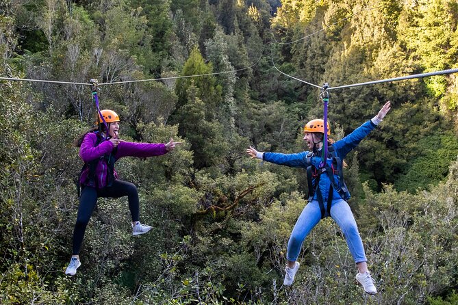 Rotorua’s Ultimate Zipline: 6 ziplines, 400 m Tandem, Cliff Walk - Six ziplines, with the 400-metre tandem flight as the prize