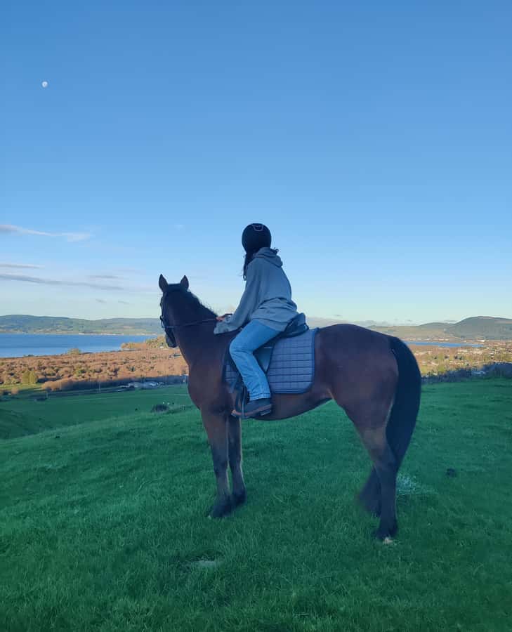 Rotorua: Scenic Horse Trek - Arriving at Adventure Playground