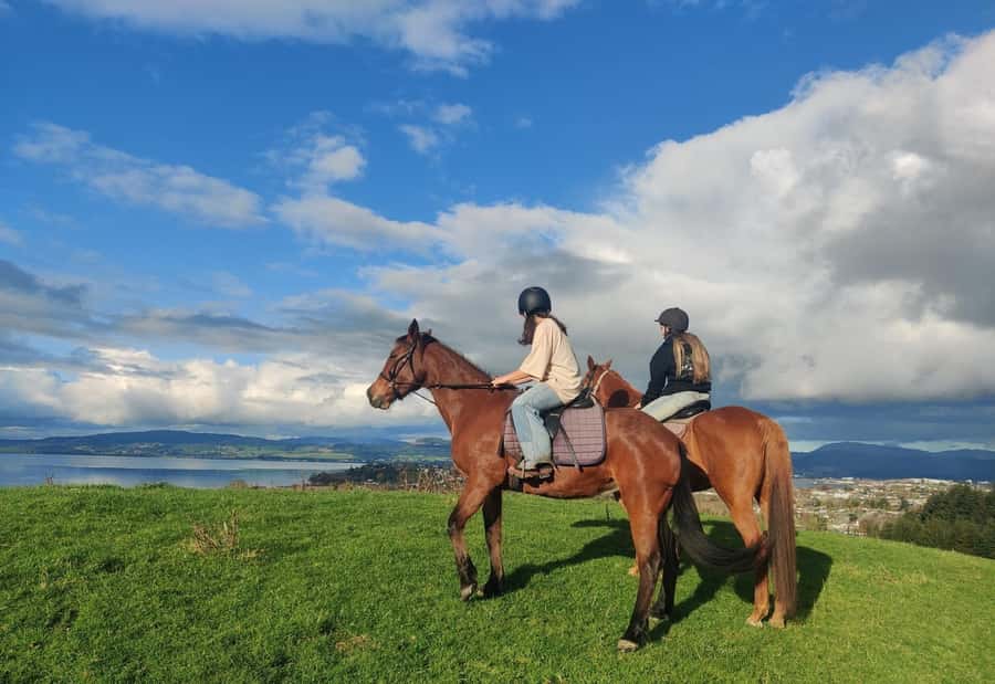 Rotorua: Scenic Horse Trek - Riding Through Rotorua’s Rolling Farmland
