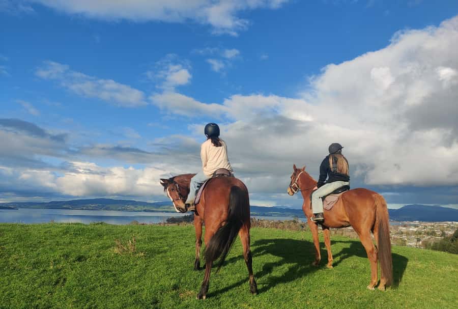 Rotorua: Scenic Horse Trek - Meeting a Horse Matched to Your Comfort Level