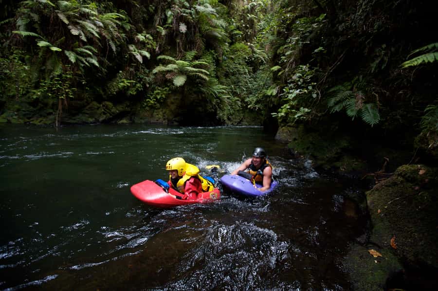 Rotorua Sledging: Kaituna White Water River Board Experience - What Rotorua sledging actually feels like