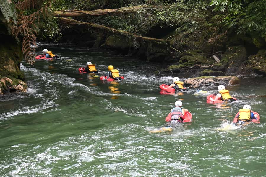 Rotorua Sledging: Kaituna White Water River Board Experience - Practical tips for a smoother outing