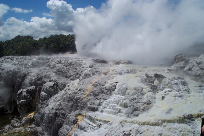 Rotorua Small-Group Day Tour from Auckland - Key points to know before booking