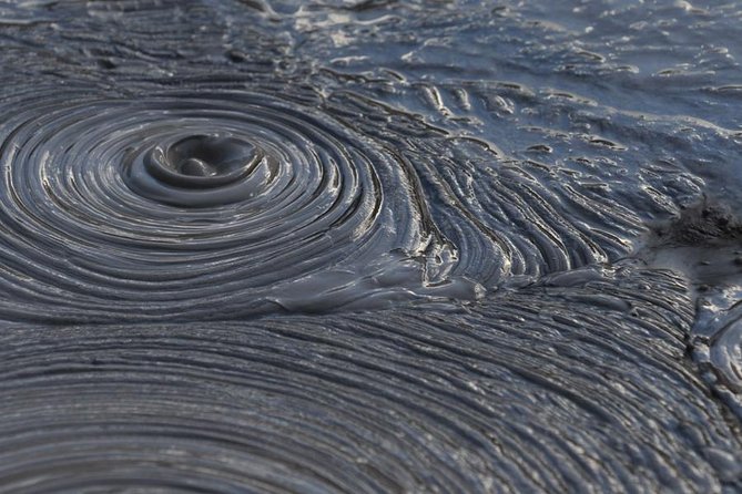 Rotorua Small-Group Day Tour from Auckland - Why this Auckland to Rotorua trip works