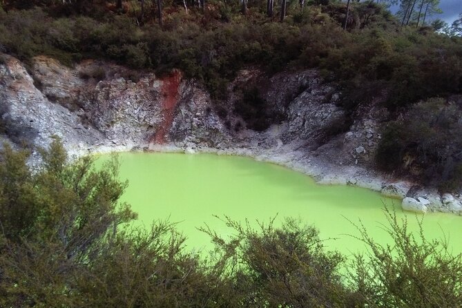 Rotorua Small-Group Day Tour from Auckland - The hardest part is the amount of time on the road