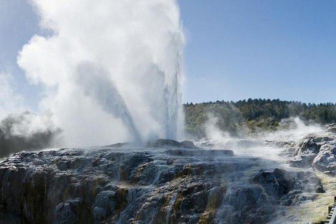 Rotorua Small-Group Day Tour from Auckland - The minivan ride from Auckland