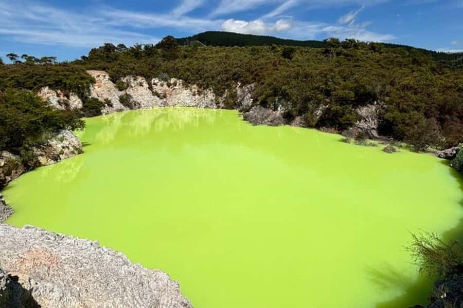 Rotorua & Taupo DayTour Waiotapu & Huka Falls from Auckland - Lady Knox Geyser adds a little drama