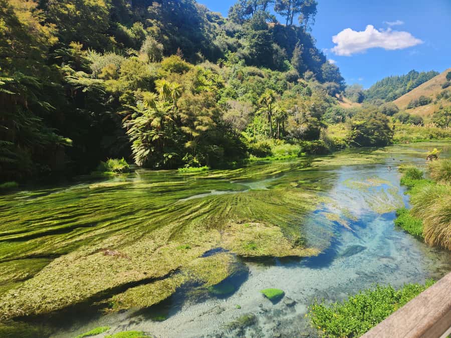 Rotorua & Taupo DayTour Waiotapu & Huka Falls from Auckland - Huka Falls: short stop, strong payoff