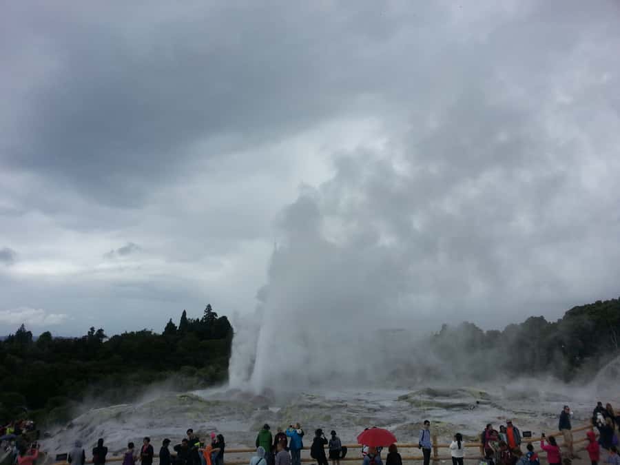 Rotorua: Te Puia Maori Village and Rejuvenation Tour - Who will get the most from this Rotorua day trip?