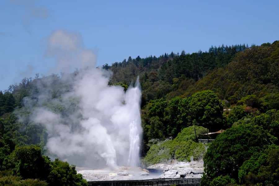 Rotorua: Te Puia Maori Village and Rejuvenation Tour - The kiwifruit stop adds a taste of the Bay of Plenty