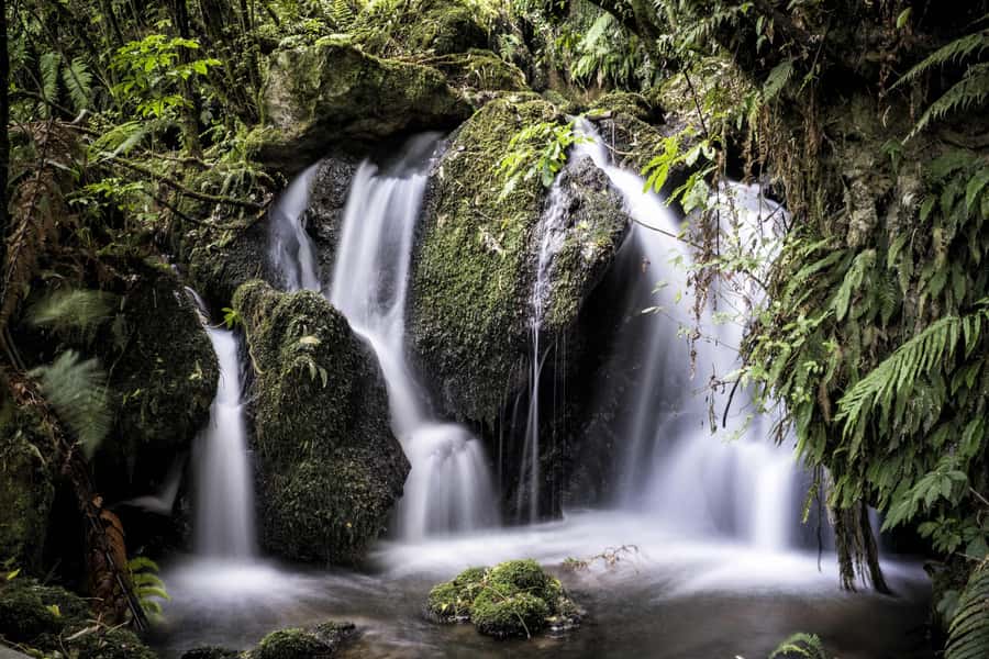 Rotorua: The Buried Village of Te Wairoa - The Waterfall Trail to Te Wairoa Falls