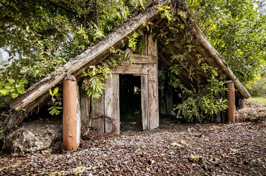 Rotorua: The Buried Village of Te Wairoa - How Much Time Should You Allow?
