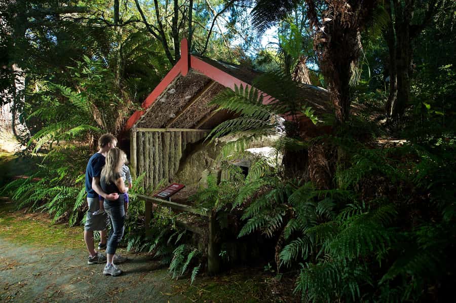 Rotorua: The Buried Village of Te Wairoa - Begin With the Museum’s 1800s Collection
