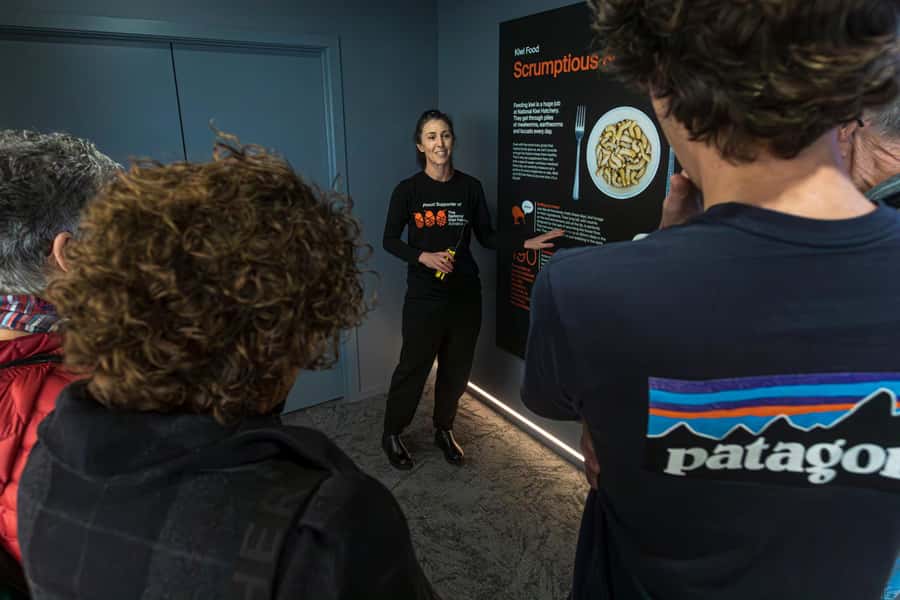Rotorua: The National Kiwi Hatchery Kiwi Encounter Tour - What happens during the one-hour Kiwi Encounter