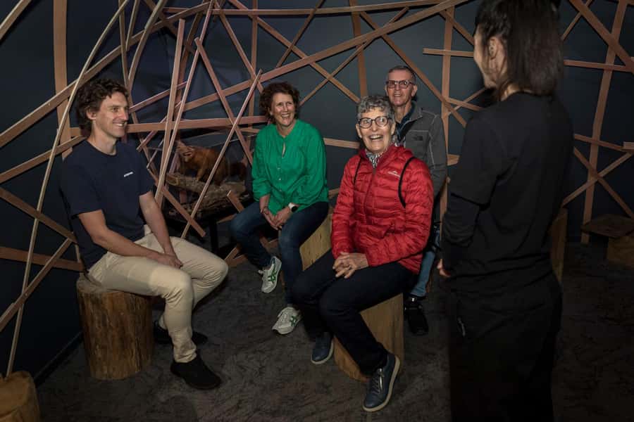 Rotorua: The National Kiwi Hatchery Kiwi Encounter Tour - The nursery and the unforgettable young kiwi moments