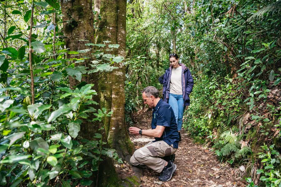 Rotorua: 'Thermal Path Tour' Geothermal half day Tour - Key points to know before you book