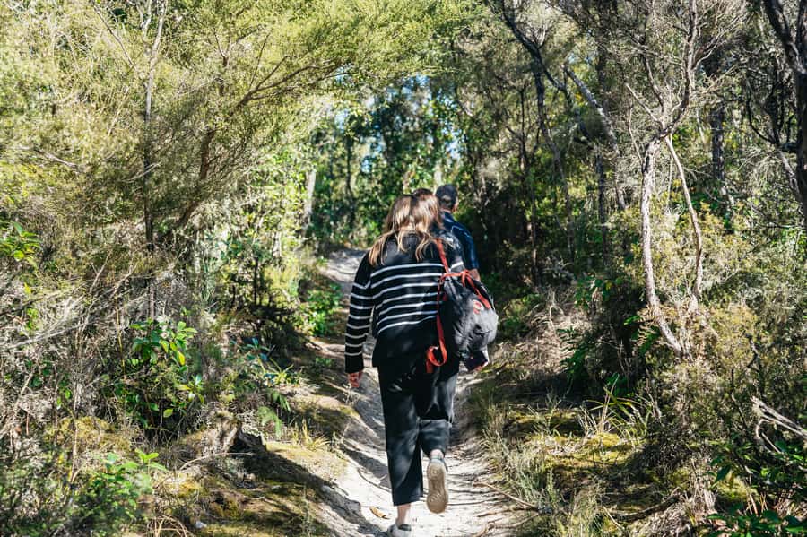 Rotorua: 'Thermal Path Tour' Geothermal half day Tour - The value of a small group at $89