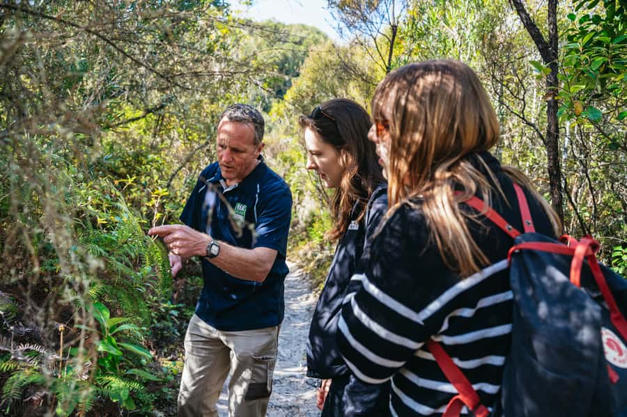 Rotorua: 'Thermal Path Tour' Geothermal half day Tour - Te Manaroa Spring brings serious geothermal force