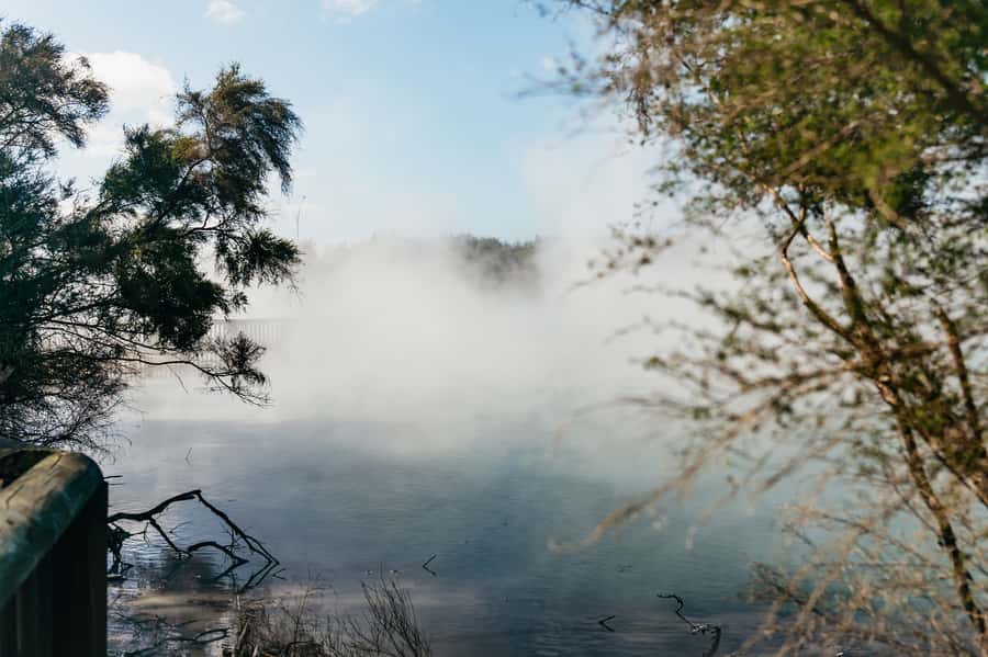 Rotorua: 'Thermal Path Tour' Geothermal half day Tour - Walking, clothing, and safety deserve attention
