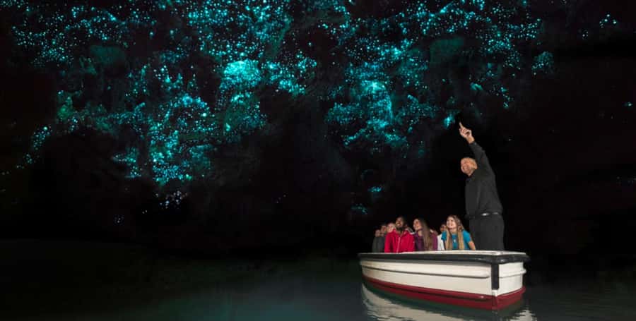 Rotorua to Auckland - Afternoon Transfer with Waitomo Caves - Leaving Rotorua by small vehicle