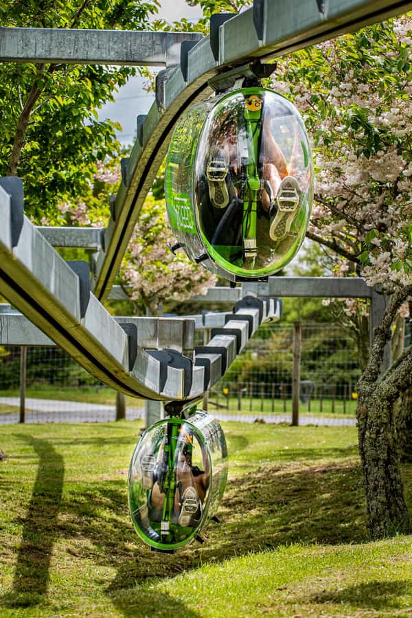 Rotorua: Velocity Valley - Four Ride Pass - Key points at a glance