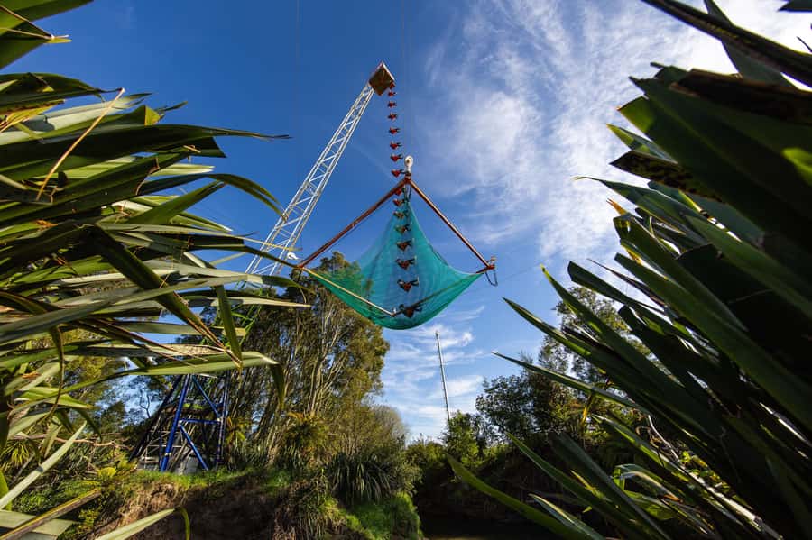Rotorua: Velocity Valley - NEW Vertigo 43m drop - What Vertigo at Velocity Valley actually is
