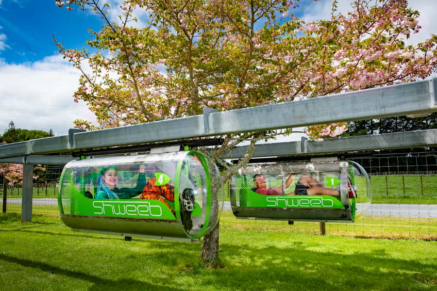 Rotorua: Velocity Valley - One Ride Pass - Key points to know before you go
