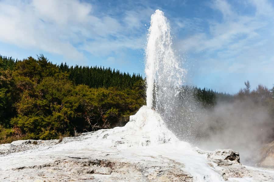 Rotorua: Wai-O-Tapu Geothermal Park Entry Ticket - What the $28 ticket actually gives you