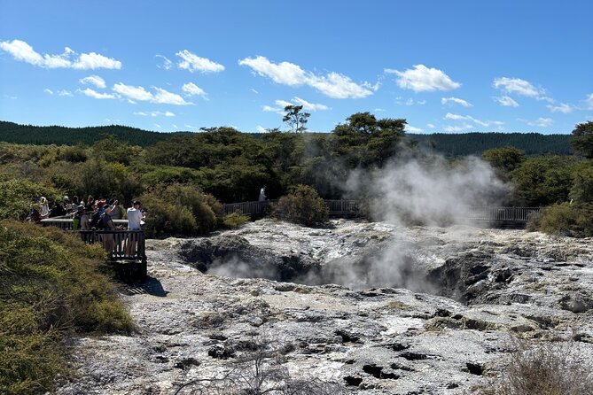 Rotorua: WaiOtapu & Redwood forest & Blues springs from Auckland - Leaving Auckland at 6:00 a.m.