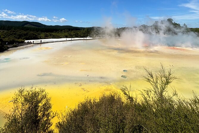 Rotorua: WaiOtapu & Redwood forest & Blues springs from Auckland - Wai-O-Tapu and Rotorua’s geothermal power